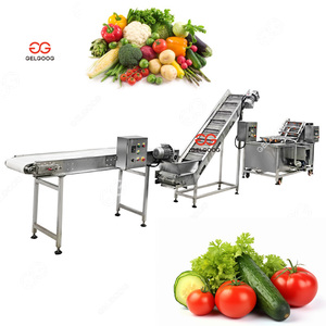 Machine de nettoyage et de séchage des légumes (colza, pommes de terre, carottes, choux, oignons, laitues) et de lavage et d'emballage - Product Image 3