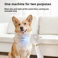 Sèche-cheveux tout-en-un pour animaux de compagnie avec protection contre la surchauffe, outil de toilettage non-monté sur bras pour le bain et le séchage des chiens et des chats