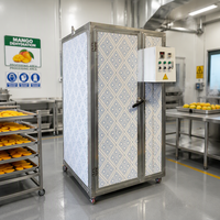Kleine apparatuur voor fruitverwerking en -droging, mango-, banaan- en pruimen-dehydratiemachine