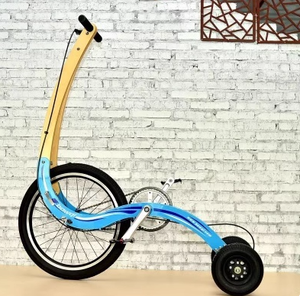 Voiture de <span class=keywords><strong>sport</strong></span> de voyage créative debout pour conduire la voiture debout demi-vélo sans siège à trois roues vélo demi-vélo - Product Image 3