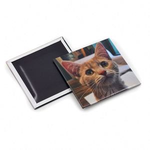 Aimants de réfrigérateur personnalisés mignons en forme de chat, cadeaux souvenirs créatifs d'animaux, décoratifs et magnétiques - Product Image 3