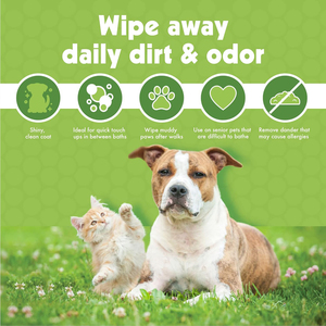 Lingettes pour animaux de compagnie en <span class=keywords><strong>bambou</strong></span>, marque privée OEM ODM, 200 lingettes, pour nettoyer le visage, les pattes, les oreilles, le corps et la zone des yeux des chiens et des chats - Product Image 5