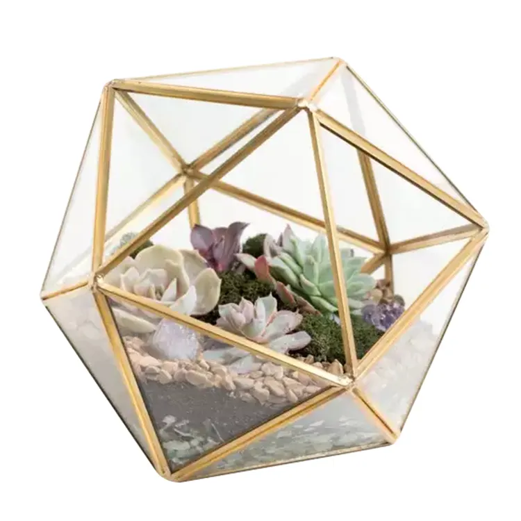 Hängendes und geometrisches Glaster rarium Geometrisches Terrarium ohne Glas pflanz gefäß für Sukkulenten Neue Terrarien vase