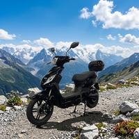 Scooter électrique adulte 1000W 45 km/h avec assistance à la pédale, best-seller UE 2026