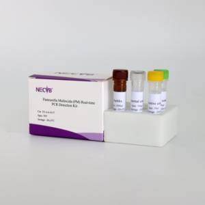 Hoch empfindliches fluor zieren des PCR-Kit zur präzisen Erkennung von Pasteur ella multocida bei Schweinen - Product Image 4