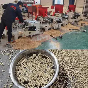 Macchina per alimenti per gamberetti di qualità | Macchina per estrusore a Pellet con mangime per pesci in vendita | Piccola macchina galleggiante per alimenti per pesci Nigeria