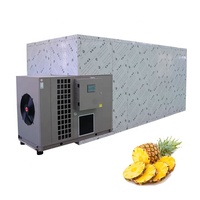 Bananenchips Fruit Hete Lucht Droogmachine Rode Bayberry Droger Dehydratator Boom Ananas Banaan Warmtepomp Droger Machine