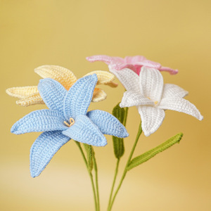 Flores Tejidas a Mano, Ramo <span class=keywords><strong>de</strong></span> Flores <span class=keywords><strong>de</strong></span> Ganchillo Hecho a Mano <span class=keywords><strong>para</strong></span> Regalo <span class=keywords><strong>de</strong></span> Novia - Product Image 4