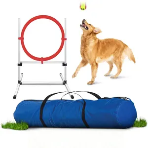 Tunnel de formation d'agilité pour chien en plein air, Kits pour animaux de compagnie, équipement d'agilité pour chien, parcours d'obstacles pour l'entraînement et l'interaction