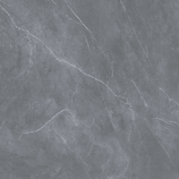 Des dalles de pierre frittée gris pierre de 900x1800 mm, revêtues d'un vernis, sont utilisées pour le mur de fond du projet.