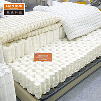 Colchón de Muelles Ensacados Euro Top de 7 Zonas, Económico, Tamaño Personalizado, Fabricante de Muebles de Cama de Acero