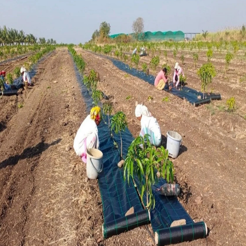 BreathablePP PE Preservation Barrier Ground Control Resistant Cover weed Mat Landscaping Fabric