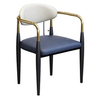 Chaise de salle à manger moderne et simple en métal, style luxe léger, avec dossier, pour la maison, le bureau, la cuisine, la table à thé, les réunions, style célébrité internet