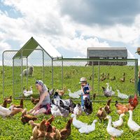 Poulailler en métal, grand enclos à poules avec couverture imperméable et anti-UV, poulailler accessible pour 6/10 poules