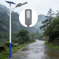 Lampe solaire de rue LED en aluminium moulé sous pression, haute luminosité, étanche, Laihong Industrial, 30W-200W, IP66, extérieur, garantie 5 ans
