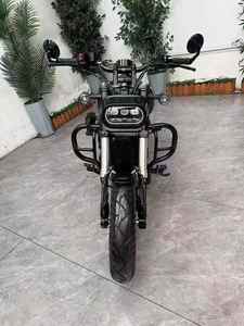 Motocicleta Todoterreno de Doble Cilindro y 300cc de Moda. Eficiente en Combustible y con un Sonido Agradable. Directamente del Fabricante. - Product Image 2