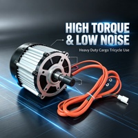 Moteur sans balais DC 48V 1000W 3200 tr/min IP54 Classe B Isolation de classe B Aimant haute résistance Moteur de tricycle électrique