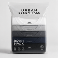 Lot de 5 T-shirts Urban en coton peigné 100% 280 g/m² - Essentiels pour les détaillants de streetwear oversize