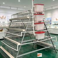 Fournisseur unique de cages à poulets de type A, poulaillers, cages pour poules pondeuses et cages pour cailles