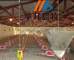 Автоматическая система кормления кур-бройлеров: шнековый привод, мотор из нержавеющей стали, бункер из полипропилена - Product Image 3