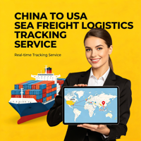 Soporte al Cliente Dedicado, Transporte Marítimo DDP de China a Estados Unidos para Socios a Largo Plazo