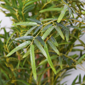 Suministro de fábrica, bonsái de bambú <span class=keywords><strong>artificial</strong></span>, plantas verdes artificiales en maceta de vivero, árboles decorativos para el vestíbulo de la oficina en casa - Product Image 2