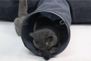 Relipet RLF006 accessori per animali domestici all'ingrosso stampa pieghevole Smart Cute Design Pet <span class=keywords><strong>Cat</strong></span> <span class=keywords><strong>Tunnel</strong></span> - Product Image 4