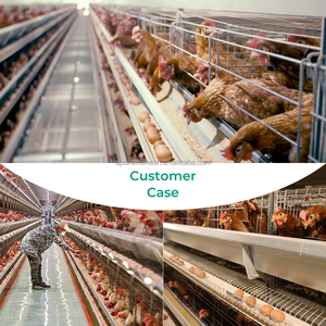 Cage de batterie Couche Oeuf de poulet cages de Type a pour couches Ferme avicole de couche automatique 96/120/128/160 Capacité Cage de ponte d'oiseaux - Product Image 5