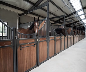 표준 말 마차 앞 안전 아연 도금 표준 블랙 대나무 말 승마 용 마차 패널 - Product Image 1