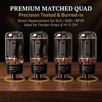 Tube à vide de puissance 6L6GC Octal 8 broches, remplacement de la valve de puissance à faisceau pour 5881 6P3P, pour amplificateur audio HiFi, paire assortie disponible
