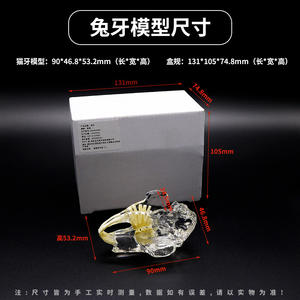 Modèles dentaires transparents pour accessoires d'équipement de thérapie orale, dents de chien, dents de chat, tête de lapin, moules éducatifs pour - Product Image 2