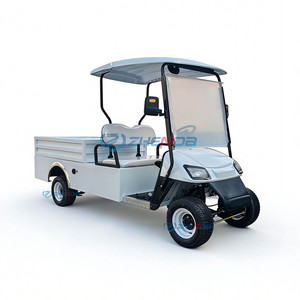 Voiturette de golf 2 places à coloris personnalisé, nouveau design, très demandée, pour transport extérieur avec porte - Product Image 1