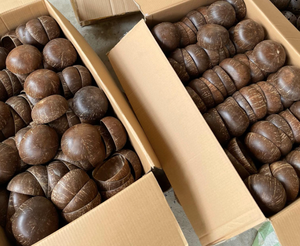 WOW WOW! BOL EN COQUE DE NOIX DE COCO PRODUITS FAITS MAIN À VENDRE {MEILLEUR VENDEUR DU MOIS} HAUTE QUALITÉ ET BON PRIX - Product Image 6