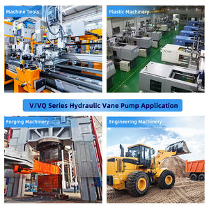 Blince להחליף vickers denison t6 סדרה וואן הידראולי כפול משאבה חלקי חילוף t6c t6dc t6dc t6dc t6dcc ערכות משאבת מחסנית - Product Image 6