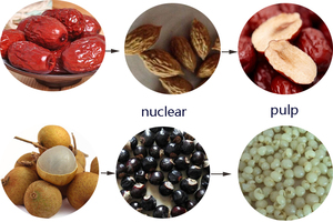 Machine de piqûre de date Medjool de prix usine, Pitter industriel de dattes Medjool - Product Image 6
