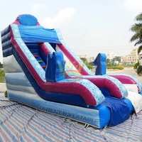 Grand glisseur gonflable d'extérieur pour enfants, étiquette fleurie, pour fête, carnaval, événement populaire, Elsa, à vendre