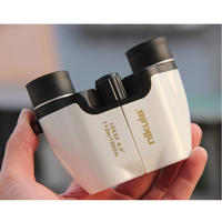 Binoculares plegables con visión nocturna de baja luz para ver aves al aire libre, binoculares de 10x22 con Zoom para caza y acampada