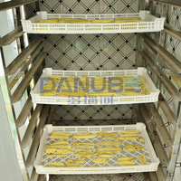 Équipement de découpe et de séchage de patates douces au prix fabricant – Machine de déshydratation pour tranches de patates douces