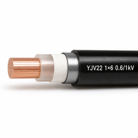 Câble d'alimentation blindé en cuivre YJV22 0,6/1 kV 1*6 1 conducteur, isolé XLPE, blindage en ruban d'acier, gaine en PVC, câble souterrain