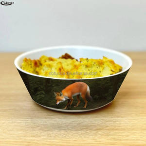 Vente en gros de motifs personnalisés imprimés sur ces magnifiques bols pour céréales, soupe, fruits ou pour une présentation ornementale - Product Image 6