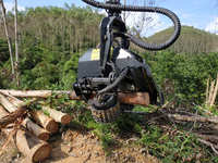 Équipement de coupe forestier multifonctionnel Tête de récolte Yuchai F60 pour excavateur forestier