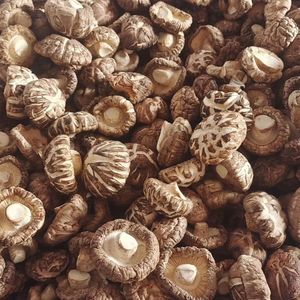 Nấm Hoa, nấm <span class=keywords><strong>Shiitake</strong></span> khô. - Product Image 3