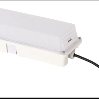 Lumière d'urgence LED IP65 anti-UV de haute qualité, type cloison, avec batterie LiFePO4 intégrée, autonomie 3 heures, pour éclairage d'urgence autonome