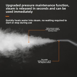 Herramienta de Limpieza Multiusos para Electrodomésticos, Esterilizador Eléctrico, Limpiador a Vapor de Alta Temperatura, Portátil, 2500W, 1200ml de Agua - Product Image 6