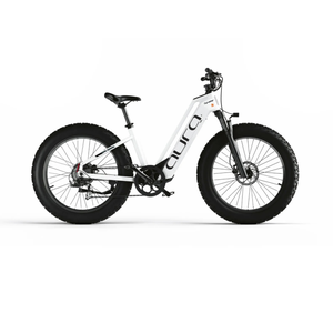 <span class=keywords><strong>Bicicleta</strong></span> Eléctrica Urbana para Adultos EU <span class=keywords><strong>Cyrusher</strong></span> Aura con Motor de 250W, 52V15AH, para Hombres y Mujeres, Neumáticos de 26 Pulgadas - Product Image 5