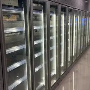 Vitrine porte en verre, chambre froide, congélateur commercial - Product Image 3