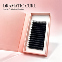 Extensions de cils ultra douces en faux vison mat personnalisées de 0,03 mm, boucles en D, pré-fabriquées