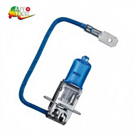 Ampoule de phare halogène pour voiture d'usine H3 12V 35W 55W 100W H3C Feu antibrouillard DRL Feux de jour Pièces automobiles