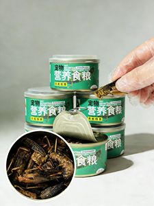 Suministro de Fábrica de Gafanhotos Frescos y Conservados, Alimento Nutritivo para Reptiles y Anfibios - Product Image 1