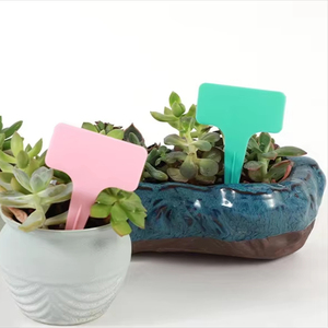 Marqueurs de plantes en plastique pour jardin, étiquettes vierges en plastique de type T pour le jardinage, étiquettes de plantes pour légumes - Product Image 1